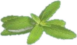 Cỏ ngọt